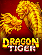มาทำความรู้จักกับ dragon treasure slot จาก PG Slot